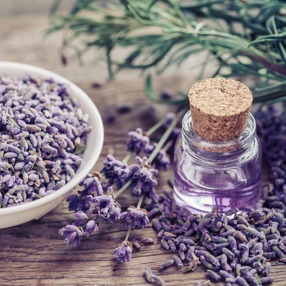 Lavendeldruck: Lavendelöl und getrockneter Lavendel