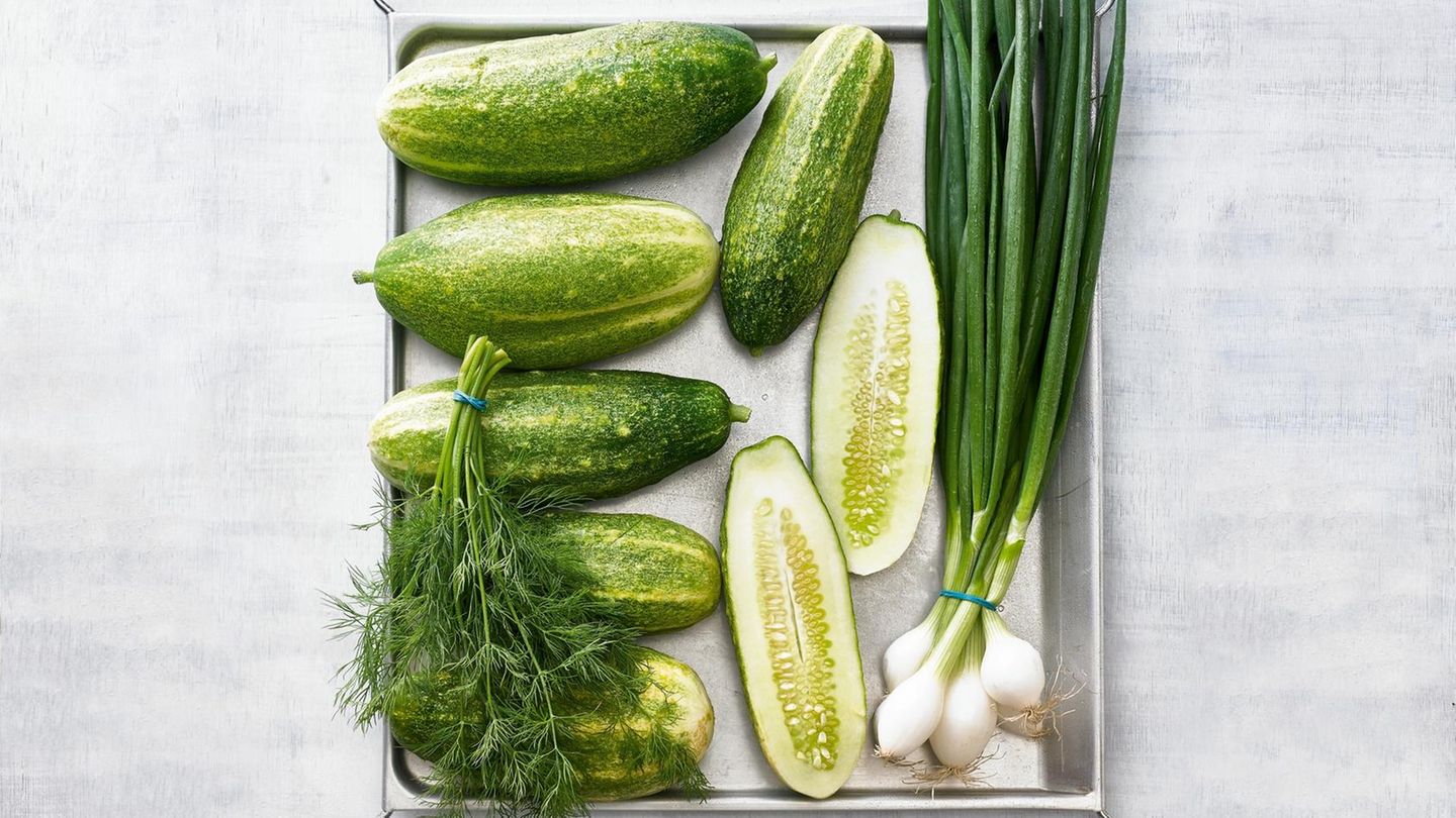 Schmorgurken-Rezepte-K-stliche-Rezepte-mit-dem-Sommergem-se