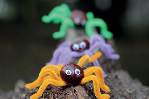 Halloween DIY für Kinder - 4 Anleitungen: Kastanienspinnen