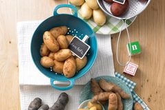 Neue Kartoffeln: Kleine Knollenkunde Neue Kartoffeln: Verschiedene Sorten