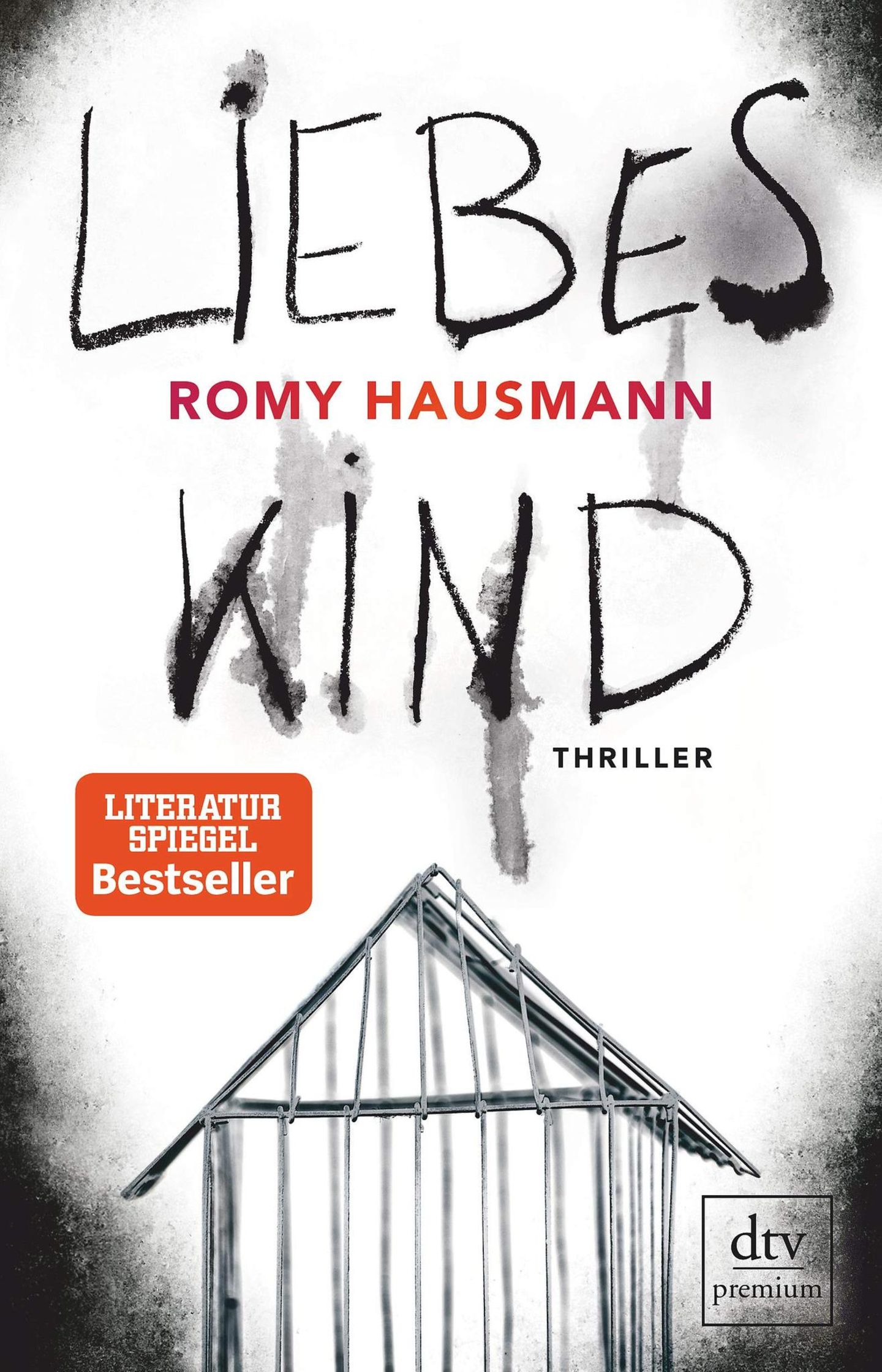Lieblingsbücher im Winter: Liebes Kind von Romy Hausmann