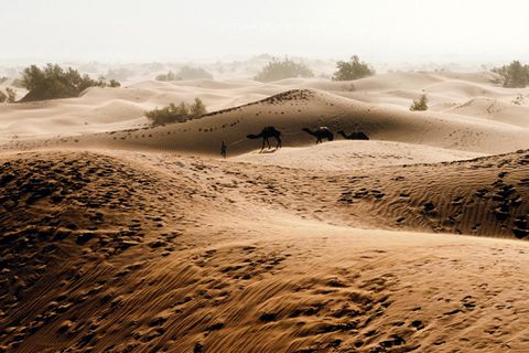 Marokkos Süden - die besten Reisetipps: Wüste