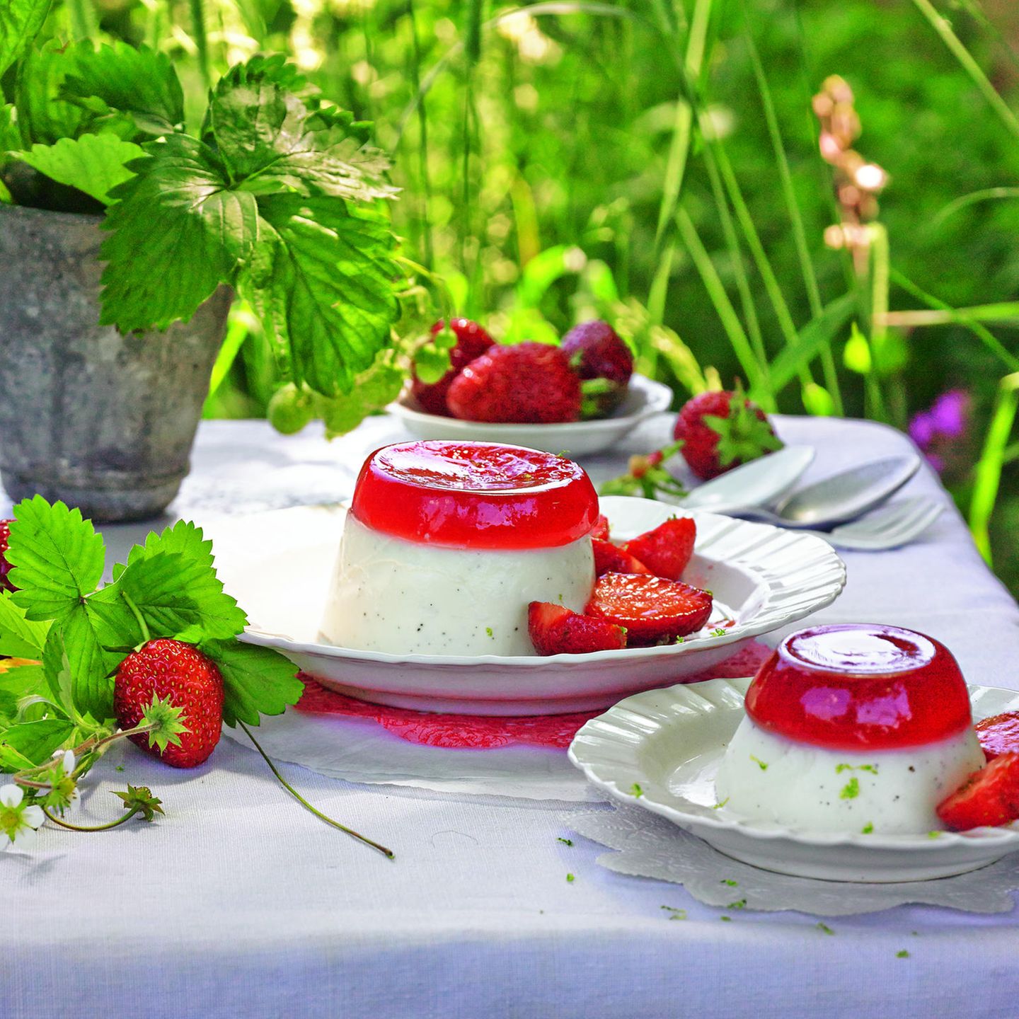 Buttermilch-Pannacotta mit Erdbeergelee