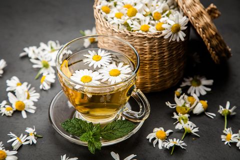 Kamillentee Wirkung: Kamillenblüten im Tee