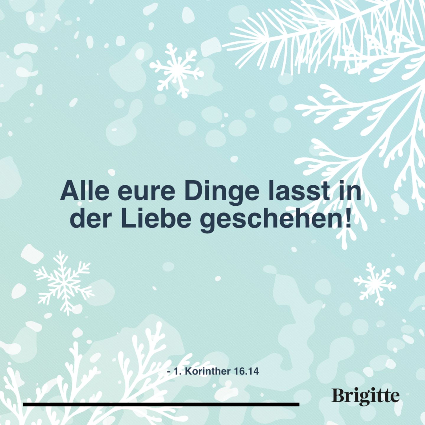Schone Zitate Zu Weihnachten Brigitte De