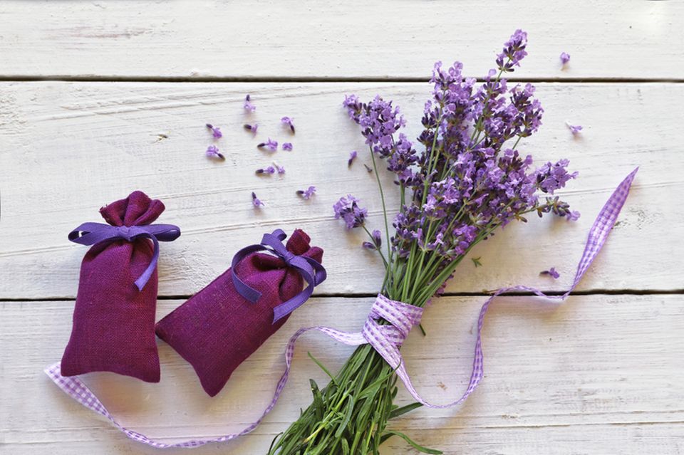 Duftsäckchen nähen: Lavendelsäckchen und Lavendel
