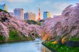 Airbnb-Trends 2020: Tokio