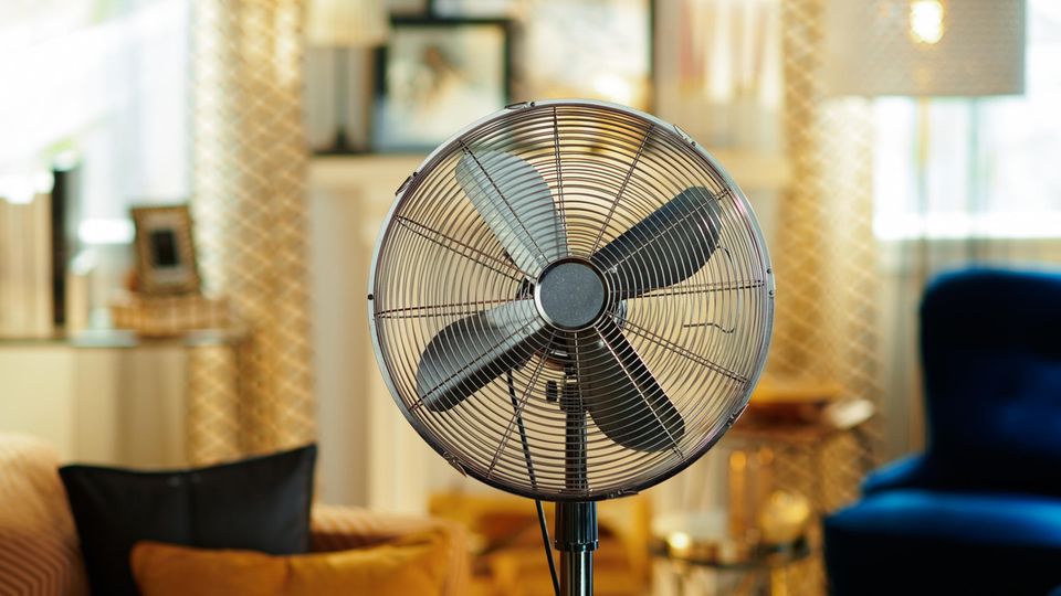 Trotz Hitze: Lass deinen Ventilator niemals nachts laufen! Standventilator im Wohnzimmer