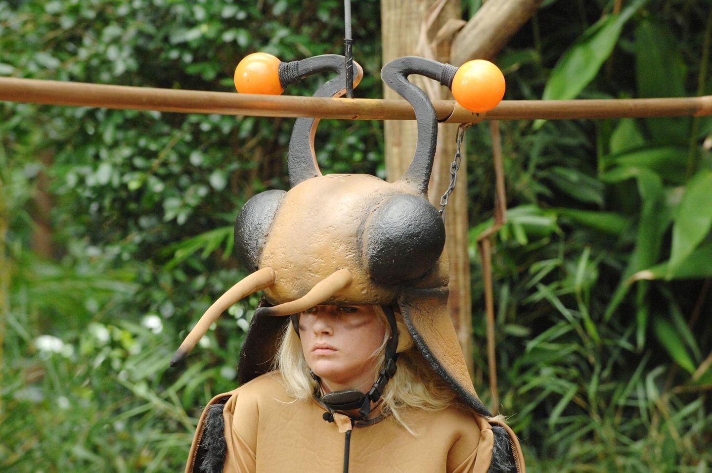 Dschungelcamp: Sarah Knappik im Kakerlakenkostüm