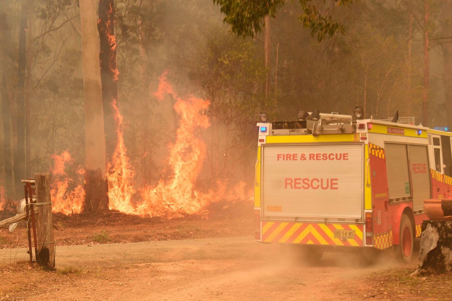Stars spenden für Australien: Buschbrände bewegen die Welt!