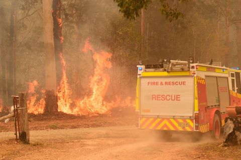 Stars spenden für Australien: Buschbrände bewegen die Welt!