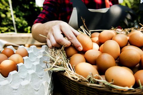 Eier von glücklichen Hühnern - woran erkenne ich sie?: Korb mit Eiern