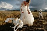 Die besten Hochzeitsfotos der Welt von 2019: Braut mit Hund
