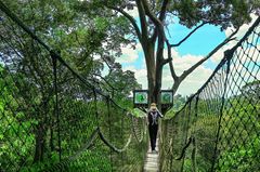 Reisetipps Borneo: Wie aus einer anderen Zeit Reisetipps Borneo: Wie aus einer anderen Zeit: Hängebrücke