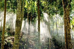 NATUR PUR Die Einwohner lieben die Natur in Lombok und tun alles, um sie zu schützen NATUR PUR Die Einwohner lieben die Natur in Lombok und tun alles, um sie zu schützen