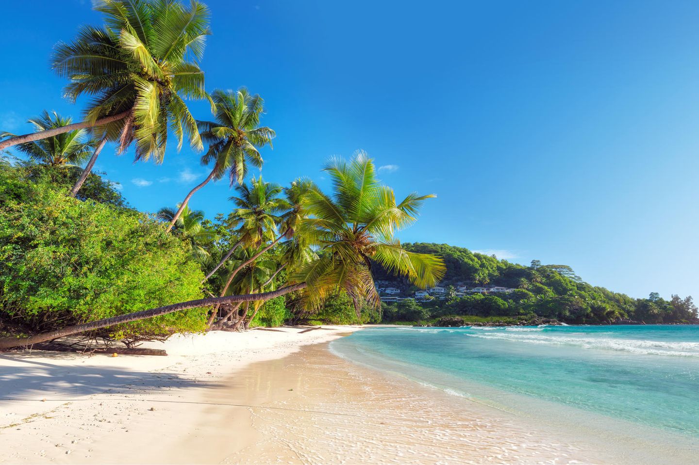 Strand und Palmen auf den Seychellen