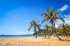 Kanaren: Teneriffas Norden Strand Las Teresitas