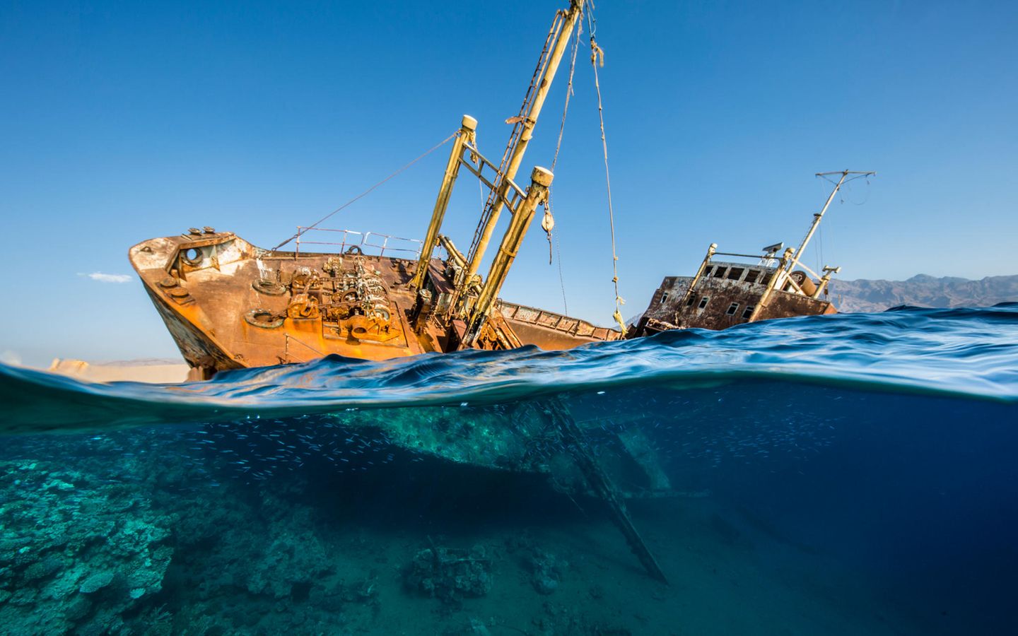 Unterwasserbilder 2020: Schiffswrack