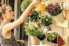 Balkon gestalten Balkon gestalten: Frau gießt Blumen