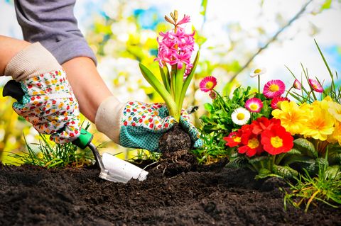 Gartenarbeit: Blumenbeet anlegen