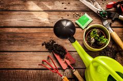 Warum uns Buddeln glücklich macht Gartenutensilien