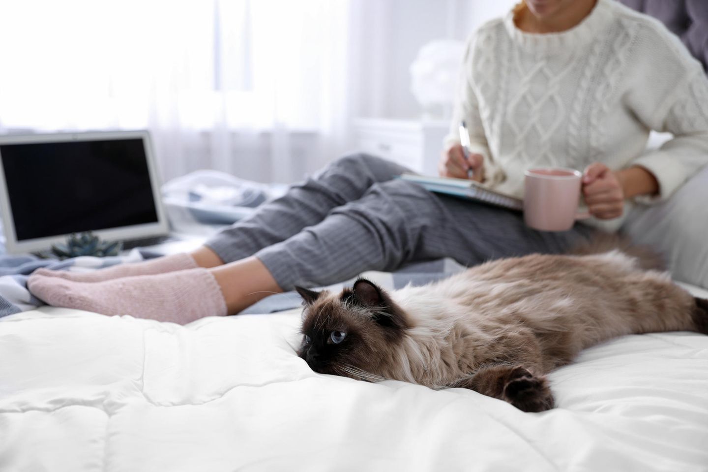 Was tun bei Quarantäne? Eine Frau sitzt mit ihrer Katze auf dem Bett