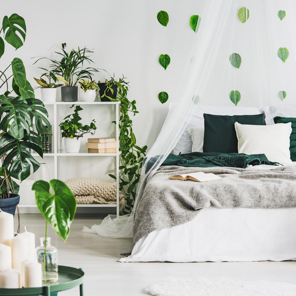 Urban Jungle: Schlafzimmer mit Pflanzen
