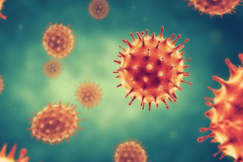 Coronavirus: Grafik des Virus