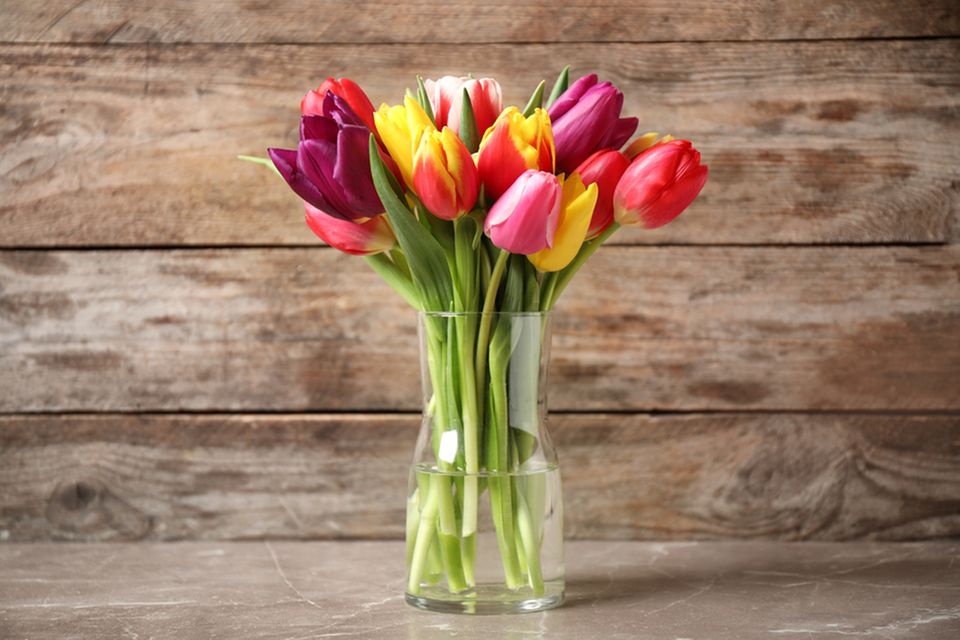 Tulpen schneiden: So geht's richtig