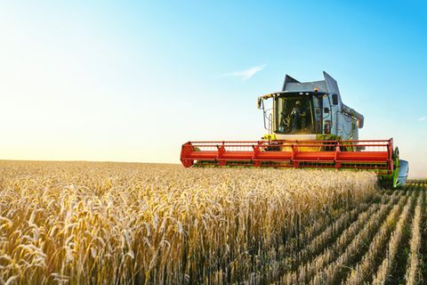 Agrar-Experten erklären die Corona-Auswirkungen auf die Landwirtschaft