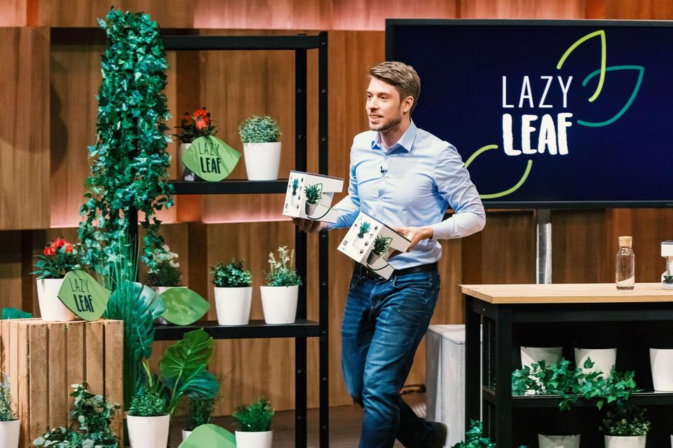 Lazy Leaf Blumentopf: Gründer beim PItch in der Show