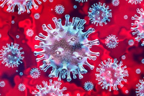 Coronavirus-News: Coronaviren