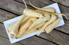 Pastinake Pastinake