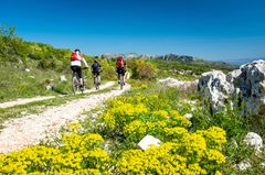 Radtour Italien-Kroatien: Volle Fahrt ins Glück Radtour Italien-Kroatien: Volle Fahrt ins Glück