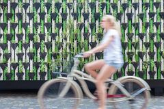 Umwelt schützen: Ideen, wie wir künftig leben wollen Umwelt schützen: Mädchen auf Fahrrad vor Pflanzenwand