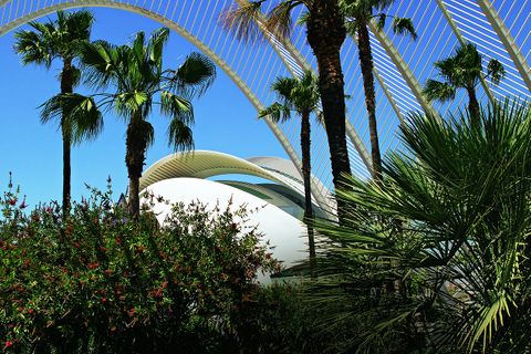 Valencia - Sehenswürdigkeiten und Tipps: Oper hinter Palmen