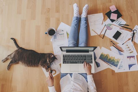 Homeoffice: Eine Frau sitzt mit ihrer Katze und einem Laptop auf dem Schoß auf dem Boden
