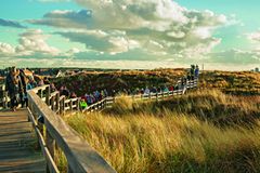Sylt: Megamarsch auf der Insel Sylt: Wandergruppe in den Dünen