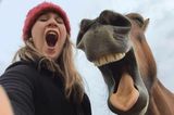 Haustier Fotowettbewerb: Pferd und Frau