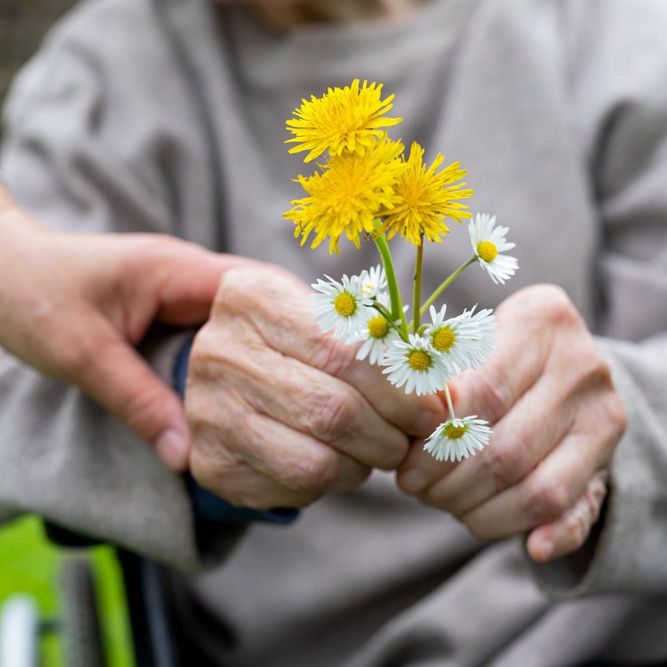 Demenz im Alter: Blumen in den Händen eines älteren Menschen