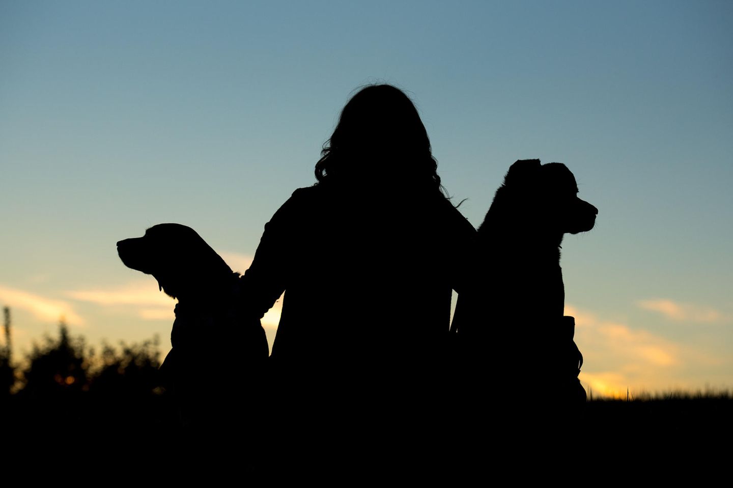Hund klonen: Frau mit zwei Hunden