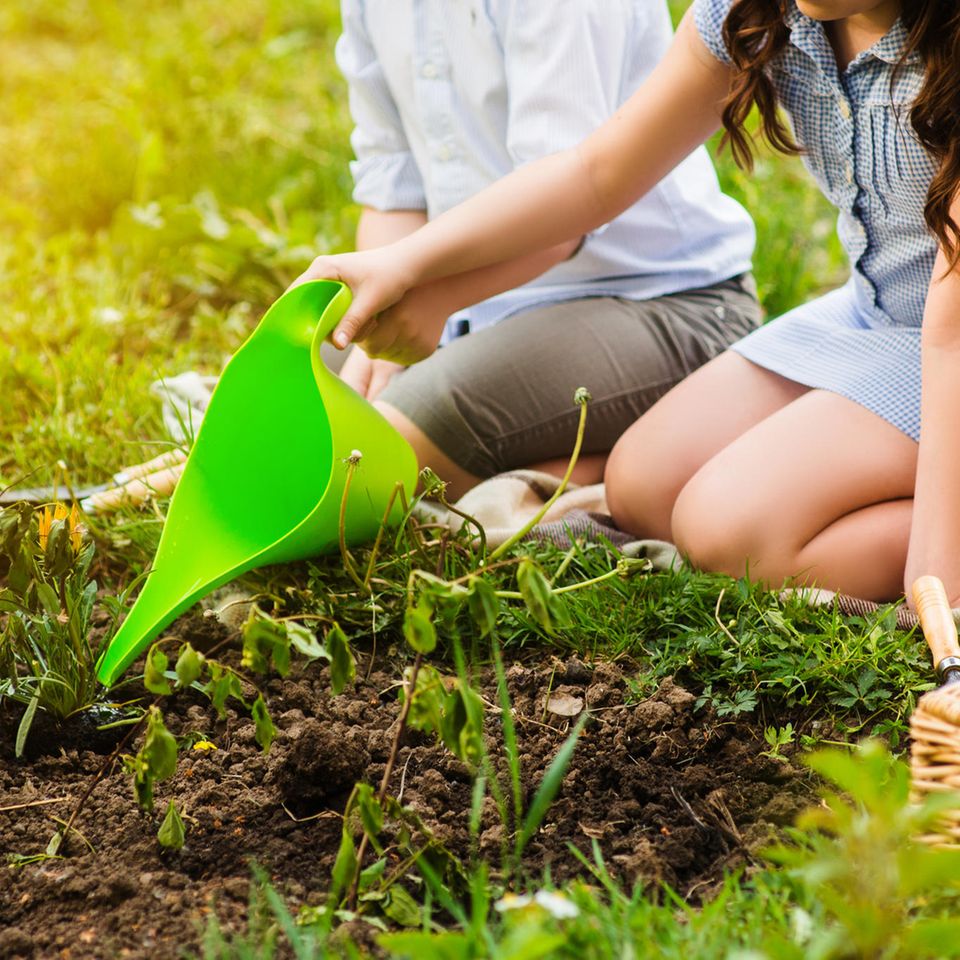 5 Tipps für Essig im Garten