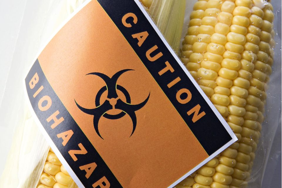 Lebensmittel-Verbote: Eingeschweißter Mais mit Warnung