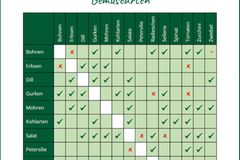 Nachhaltiger Garten: 10 Tipps für mehr Nachhaltigkeit Nachhaltiger Garten: 10 Tipps für mehr Nachhaltigkeit