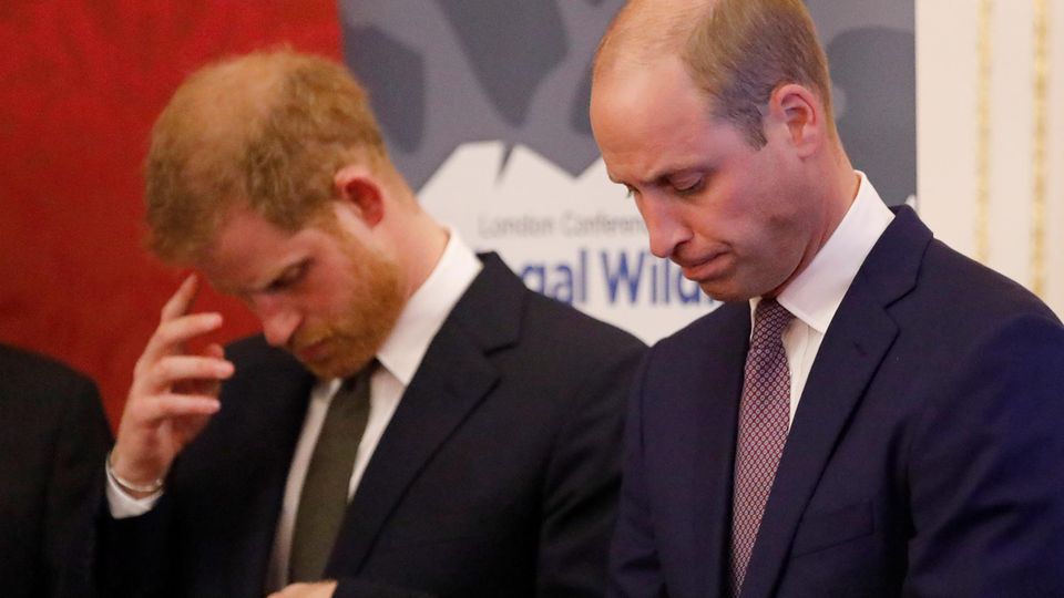 Prinz Harry und Prinz William: Das steckt wirklich hinter ihren Spannungen