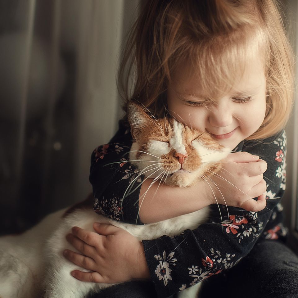 Kleinkinder: Kleinkind kuschelt mit Katze