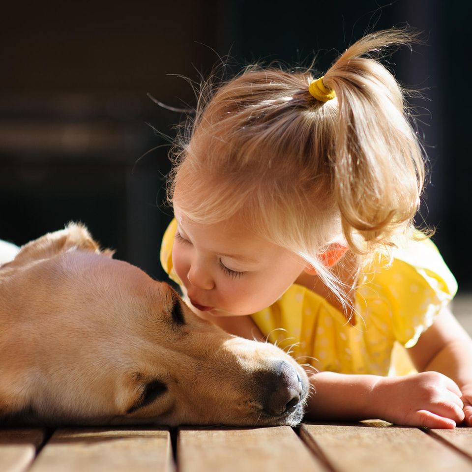 Kleinkinder: Kleinkind küsst Hund