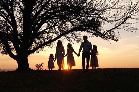 Fragiles Konstrukt: Familie unter Baum