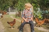 Gemeinsame Zeit: Kleiner Junge auf Bauernhof