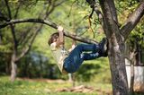 Das bringen nur Jungs: Jungs-Mamas aufgepasst: Kleiner Junge klettert auf Baum